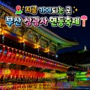 초읍동-01 | 2026 부산 삼광사 연등축제 후기 방문꿀팁 포토존 총정리