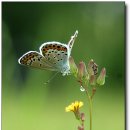 숲속풍경 이미지