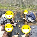 마차중학교 네이버블로그