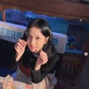 하버드 유치원 이미지