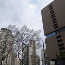 판교365약국 이미지