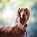 합천골프존 이미지