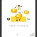마이카닥터