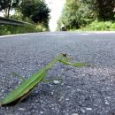 운천2리 이미지