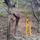 안창약수터 네이버블로그