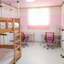 신성대학교 이미지