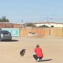 혜원주유소 이미지