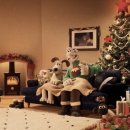 멍블랑 반려견미용실 이미지