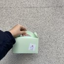 파이달램 이미지