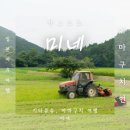 일본 소도시 야마구치현 미네 렌터카여행, 매미 울음소리 종류