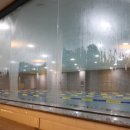 로키 스위밍 클럽 이미지