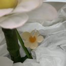 감성으로 채우는 플라워 홈 스타일링 | 졸업식 선물 추천, 핀터레스트 감성 플라워캔들!｜광주 반디공방 원데이클래스 후기