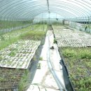 근수농장 이미지