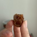 국민마트 | 이집트 국민마트 까르푸 쇼핑리스트(대추야자 초콜릿, 히비스커스, 참깨 스프레드 등)