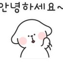 신방한라동백@ 3 이미지