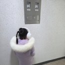 송아지 PC | 1월 2주차 주간일기 : 평범한 일상 주간