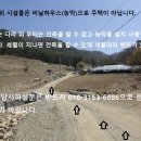 차박 오토캠핑 부지 토지 삼면국유림 홍천 이미지