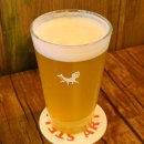 단구로2 | 원주 단구동 맛집 날맥주에서 3종타코 식사 후기