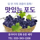 윤가이가농장