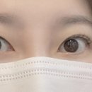 아르미속눈썹 네이버블로그