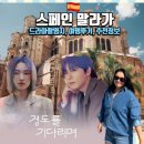 경도식당 | 경도를 기다리며 스페인 촬영지 말라가 다녀온 여행후기(촬영지, 가볼만한 곳 여행 정보 공유)