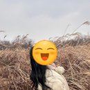 제주세계자연유산센터 세계유산전시관 이미지