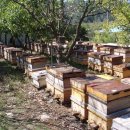 이신농장 이미지