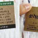 제주몽글랑 네이버블로그