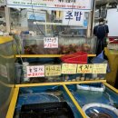 부평 갈산동 횟집 부구수산 광어회 해삼 물회만들기