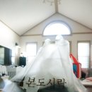 본도시락 포천송우리점 이미지