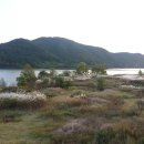 유등농장 이미지