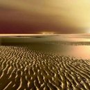 돈보따리 이미지