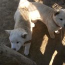 산이랑 강이랑 이미지