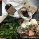멜버른 현지인들의 마켓! Alphington Farmers Market 🖤😊