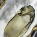 통영석화