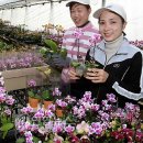 송암리 농장 이미지