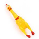 블루밍PT 이미지