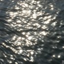 천상의 보금자리 이미지