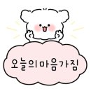 테라머뭄 이미지