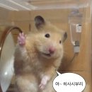 가산생갈비 네이버블로그