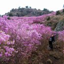 진달래약수터 이미지