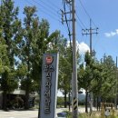 남도팜스 | 팜스식자재마트담양점(내돈내산).솎음열무.팜스식자재마트고양점연중무휴24시간영업