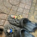 가족이랑개 | [베트남 나트랑 여행 1일차] 가족이랑 랍스터 할인받은 후기 해산물 목식당