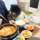 데이지동물병원 | 부천 신중동역 집밥 한식 맛집 그김에 본점