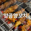 양금양꼬치