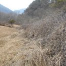 서구-01-49 이미지