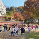 한림성심대학교부속 한림유치원 이미지