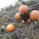 고을농장 이미지