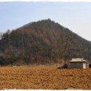 사조동 이미지