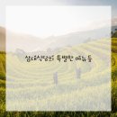 보석식당 이미지